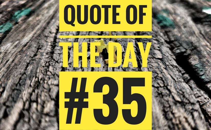 Quote Of The Day #35